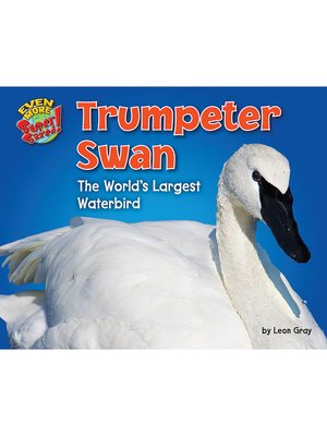 cover image of Trumpeter Swan